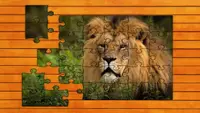 Big Cat Jigsaw Quest - Expansion Pack 1 1