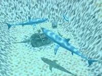 Marine Park Empire 3