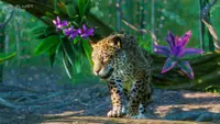 Planet Zoo: South America Pack Ultimate 2