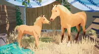 The Foal Care Pack - Horse Tales: Emerald Valley Ranch 4