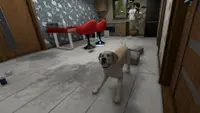 House Flipper Pets VR 1