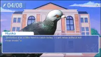 Hatoful Boyfriend - Collector's Edition DLC Collector's 3