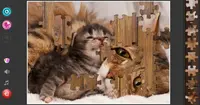Cat's Life Jigsaw Puzzles 4