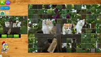 Photo Puzzles HD 2