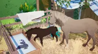 The Foal Care Pack - Horse Tales: Emerald Valley Ranch 3