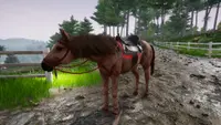 Horse Riding Deluxe 2 Deluxe 4