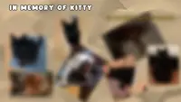 Kitty's Last Adventure - Supporter Pack 4