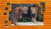 Big Cat Jigsaw Quest - Expansion Pack 1 2