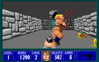 Wolfenstein 3D 4
