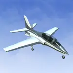 RealFlight Evolution - ViperJet 1