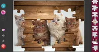 Cat's Life Jigsaw Puzzles 3