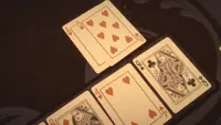 Pure Hold'em - Plume Card Deck 4