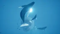ABZÛ 1
