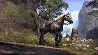 The Elder Scrolls Online - Crown Packs 4