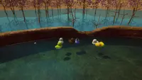 Placid Plastic Duck - Virtual Thermae 1