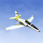 RealFlight Evolution - E-flite Viper 64mm EDF 1