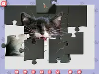 1001 Jigsaw. Cute Cats 4 2