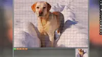 Jigsaw Puzzle Pack - Pixel Puzzles Ultimate: Dogs Ultimate 1