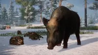 Planet Zoo: Eurasia Animal Pack Ultimate 4