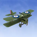 RealFlight Evolution - 2025 Year Content Pass 3