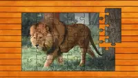 Big Cat Jigsaw Quest 1