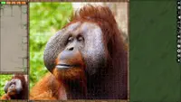Jigsaw Puzzle Pack - Pixel Puzzles Ultimate: Primates Ultimate 4