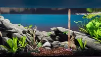 Fish Game - Substrate Variety Pack 1 4