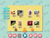 1001 Jigsaw. Cute Cats 2