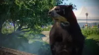Planet Zoo: Zookeepers Animal Pack Premium 3