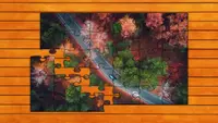 Aerial Nature Jigsaw Puzzles 3