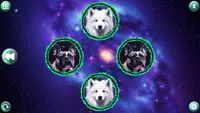 Space Memory: Dogs 1