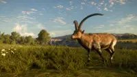 theHunter: Call of the Wild™ - Cuatro Colinas Game Reserve 3