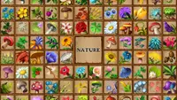Memory Battle - Nature Pack 1