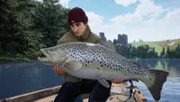 The Catch 1