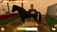 Horse World 3