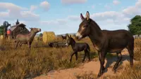 Planet Zoo: Barnyard Animal Pack Ultimate 4
