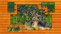 Aerial Nature Jigsaw Puzzles - Expansion Pack 4 2