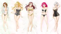 Battle Girls - Dakimakuras 1