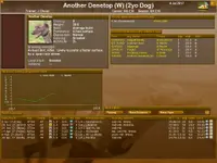 Greyhound Manager 2 Rebooted 4