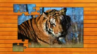 Big Cat Jigsaw Quest - Expansion Pack 2 3