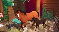 The Foal Care Pack - Horse Tales: Emerald Valley Ranch 2