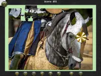 1001 Jigsaw Castles And Palaces 2