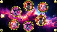 Space Memory: Chinchillas 2