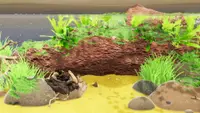Fish Game - Substrate Variety Pack 1 2