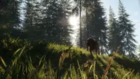 theHunter: Call of the Wild™ - Bloodhound 2