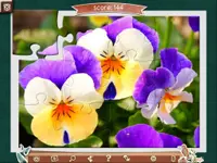 1001 Jigsaw: Earth Chronicles 3 2