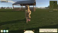 Animal Trainer Simulator 2