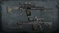 Squad Weapon Skins - Precision Strike Pack 4