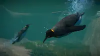 Planet Zoo: Aquatic Pack 2