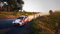 WRC 9 FIA World Rally Championship (PS4 & PS5) 4